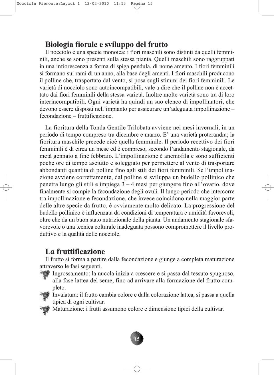 I fiori maschili producono il polline che, trasportato dal vento, si posa sugli stimmi dei fiori femminili.