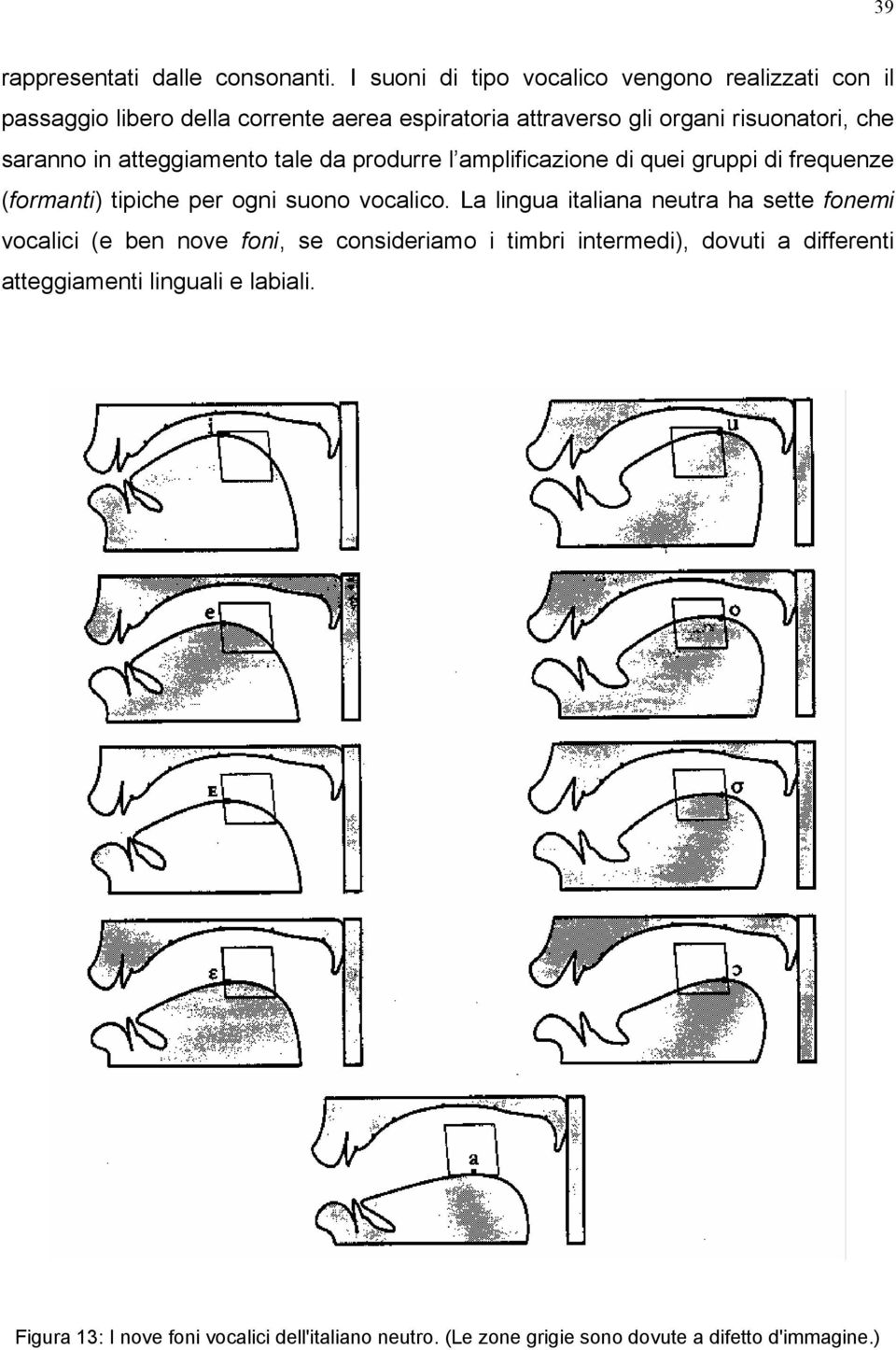 saranno in atteggiamento tale da produrre l amplificazione di quei gruppi di frequenze (formanti) tipiche per ogni suono vocalico.