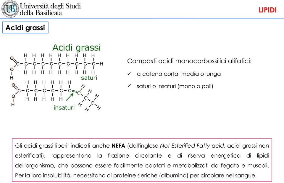 rappresentano la frazione circolante e di riserva energetica di lipidi dell'organismo, che possono essere facilmente captati