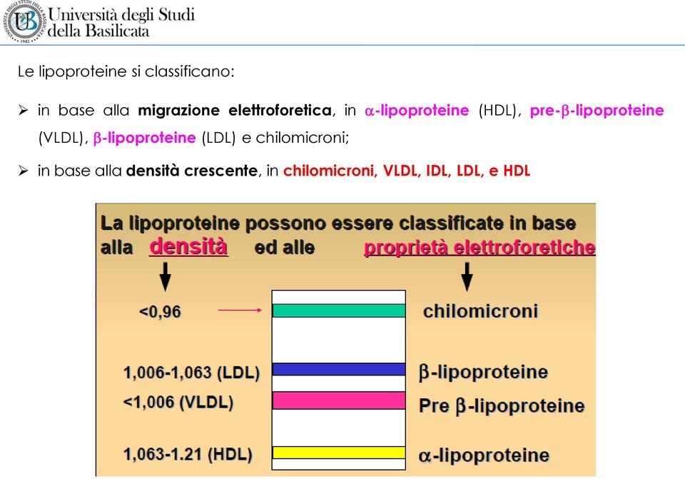 -lipoproteine (VLDL), -lipoproteine (LDL) e chilomicroni;