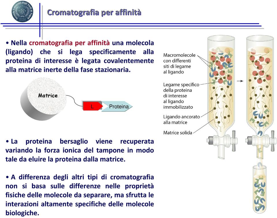 Matrice L Proteina La proteina bersaglio viene recuperata variando la forza ionica del tampone in modo tale da eluire la proteina dalla