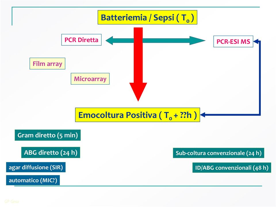 ?h ) ABG diretto (24 h) agar diffusione (SIR) Sub-coltura