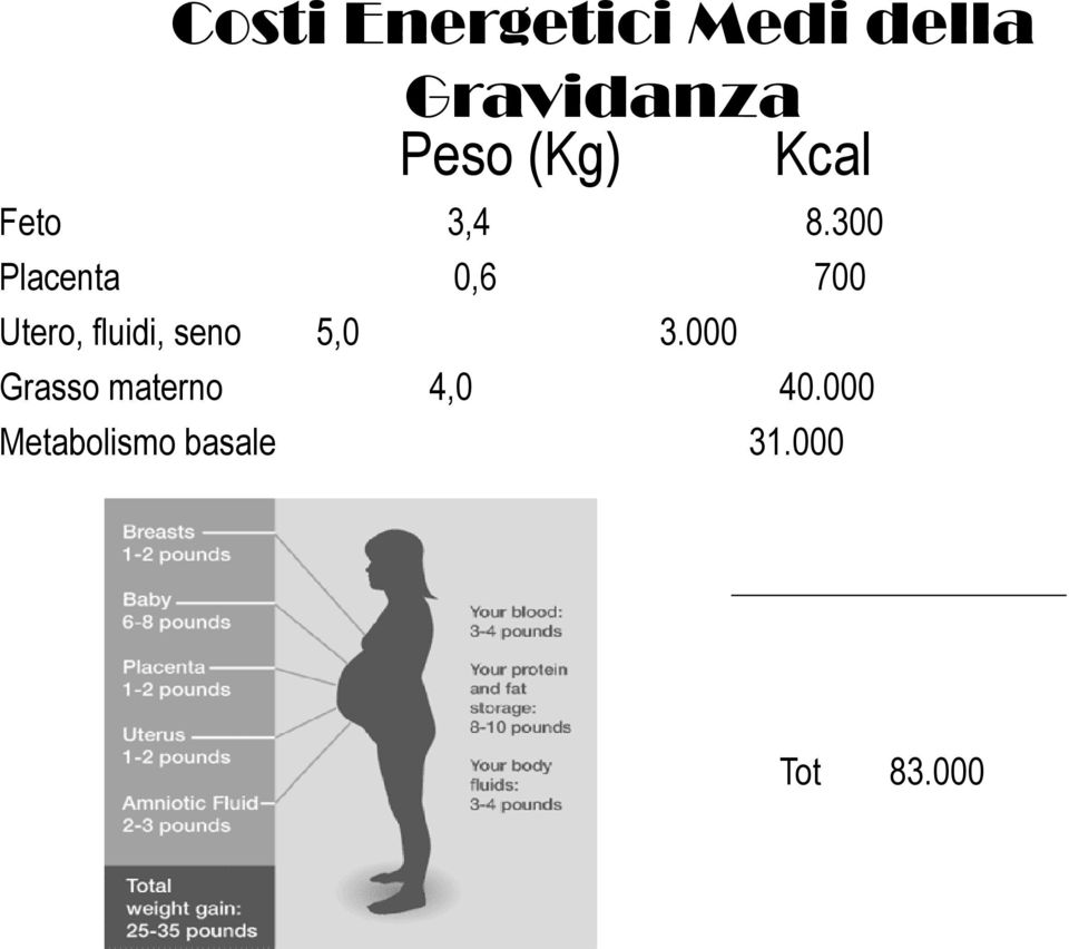 300 Placenta 0,6 700 Utero, fluidi, seno 5,0