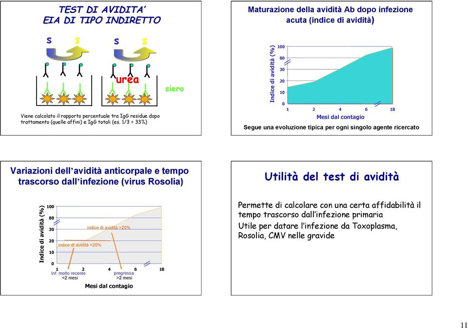 singolo agente ricercato Variazioni dell avidità anticorpale e tempo trascorso dall infezione (virus Rosolia) Utilità del test di avidità Indice di avidità (%) 100 80 30 20 10 indice di avidità <20%