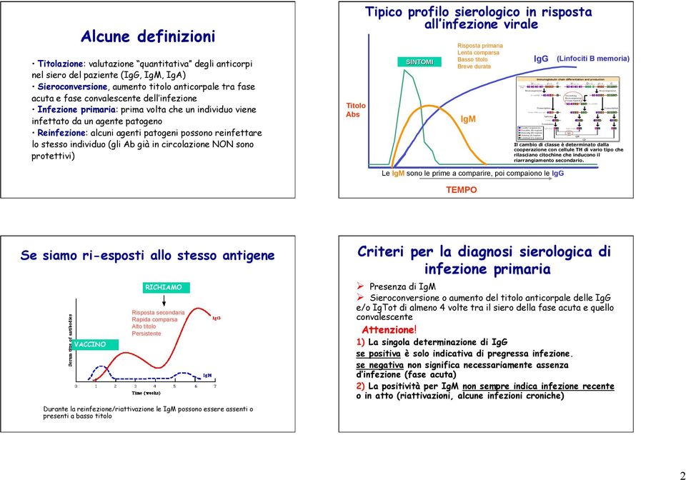 circolazione NON sono protettivi) Titolo Abs Tipico profilo sierologico in risposta all infezione virale SINTOMI Risposta primaria Lenta comparsa Basso titolo Breve durata IgM IgG (Linfociti B