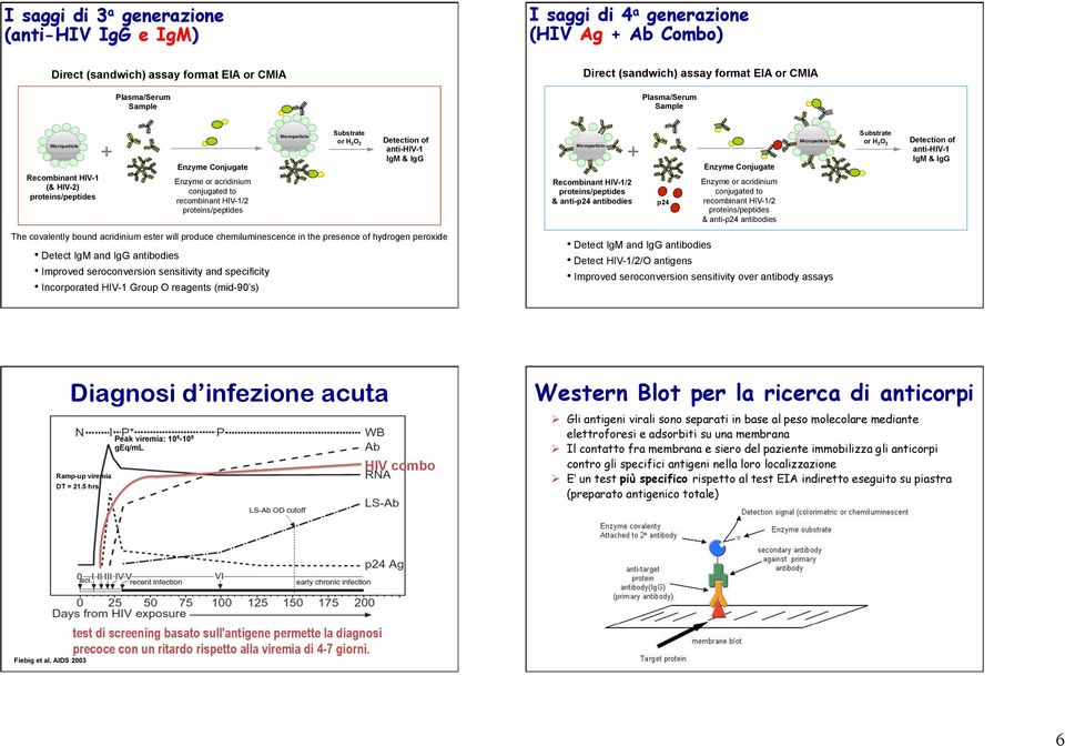 Substrate or H 2 O 2 Detection of anti-hiv-1 IgM & IgG Microparticle + Recombinant HIV-1/2 proteins/peptides & anti-p24 antibodies p24 Enzyme Conjugate Enzyme or acridinium conjugated to recombinant