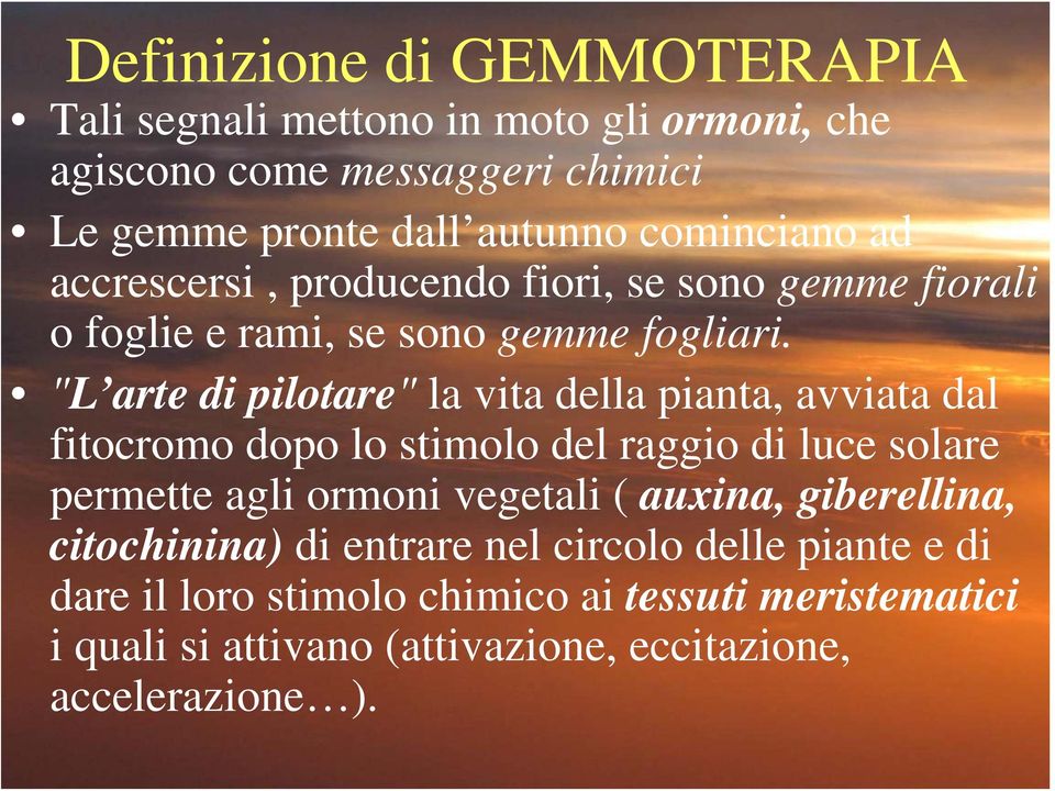 "L arte di pilotare" la vita della pianta, avviata dal fitocromo dopo lo stimolo del raggio di luce solare permette agli ormoni vegetali (