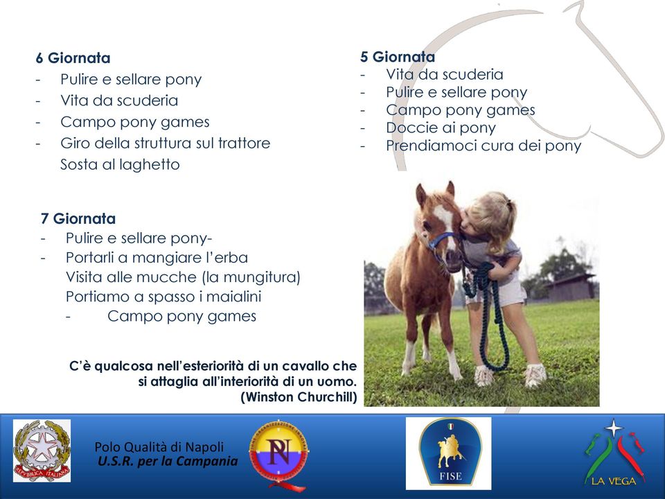pony 7 Giornata - Pulire e sellare pony- - Portarli a mangiare l erba Visita alle mucche (la mungitura) Portiamo a spasso i