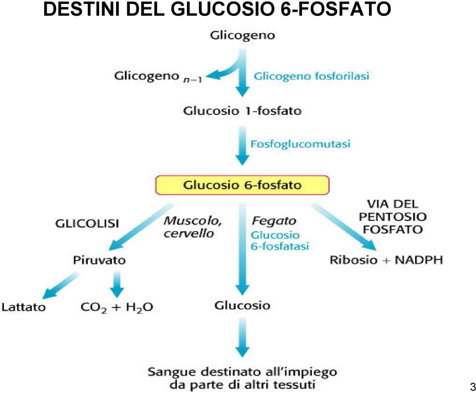 GLUCOSIO