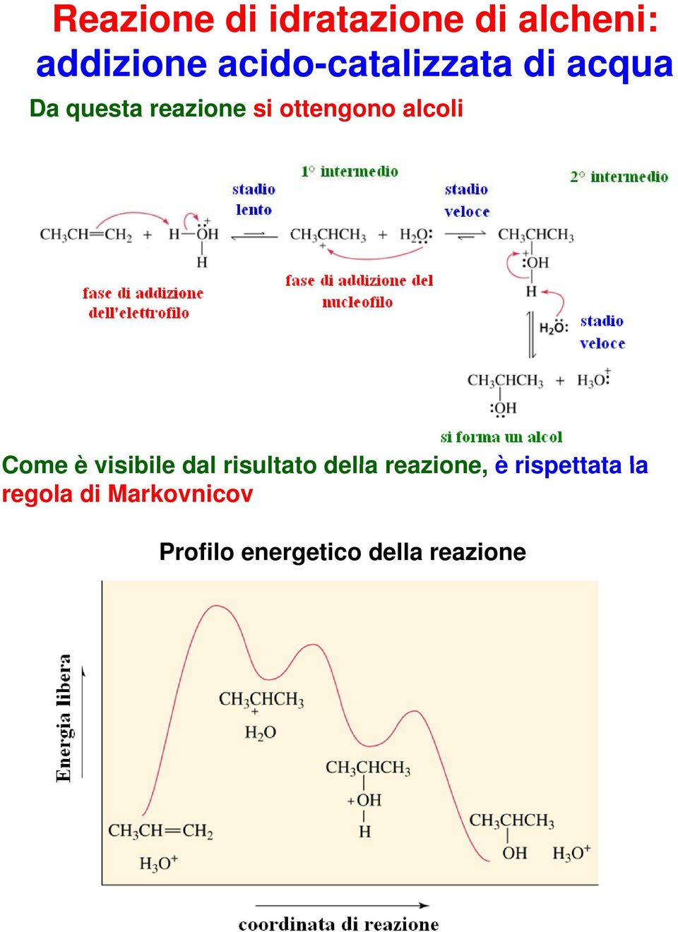 ottengono alcoli Come è visibile dal risultato della