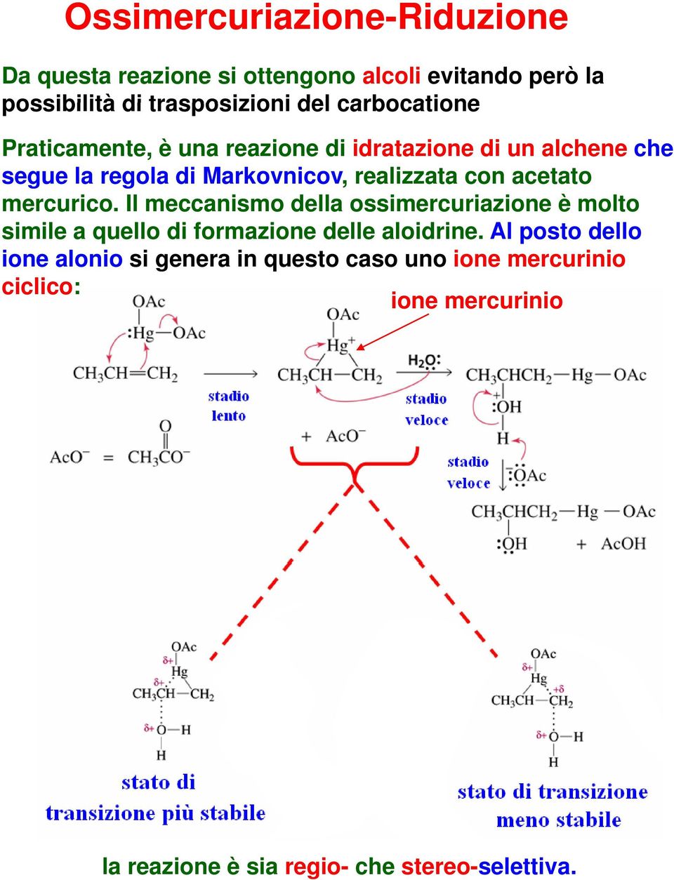 acetato mercurico. Il meccanismo della ossimercuriazione è molto simile a quello di formazione delle aloidrine.