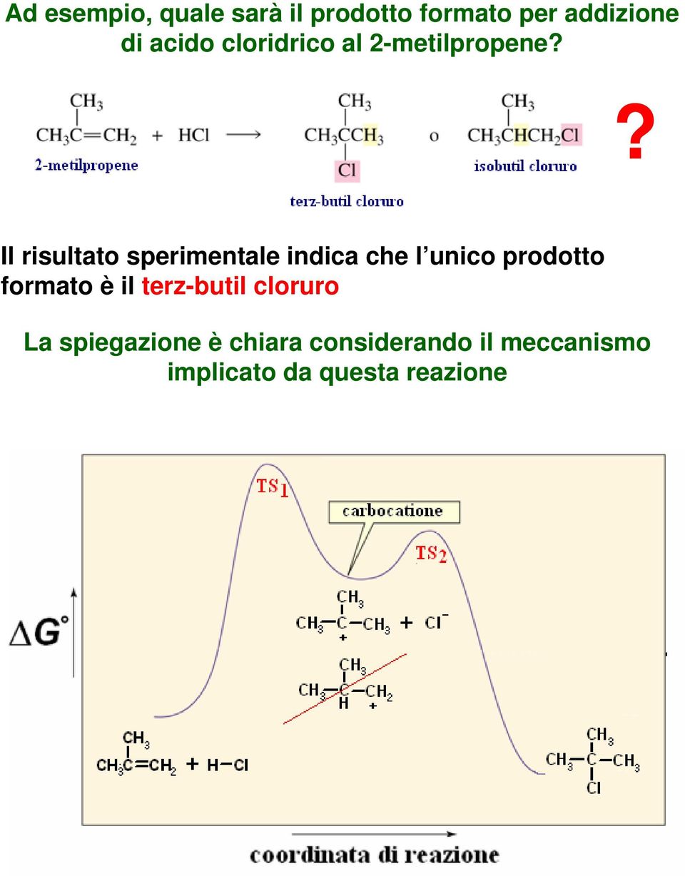 ? Il risultato sperimentale indica che l unico prodotto formato è