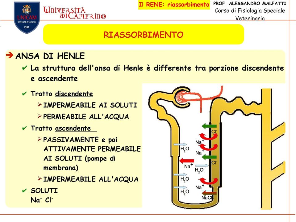 SOLUTI PERMEABILE ALL'ACQUA Tratto ascendente PASSIVAMENTE e poi