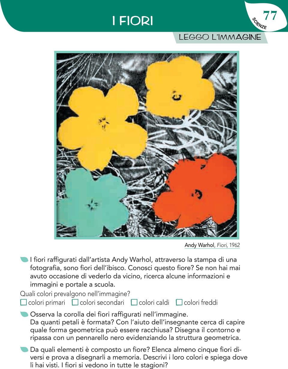 colori primari colori secondari colori caldi colori freddi Osserva la corolla dei fiori raffigurati nell immagine. Da quanti petali è formata?