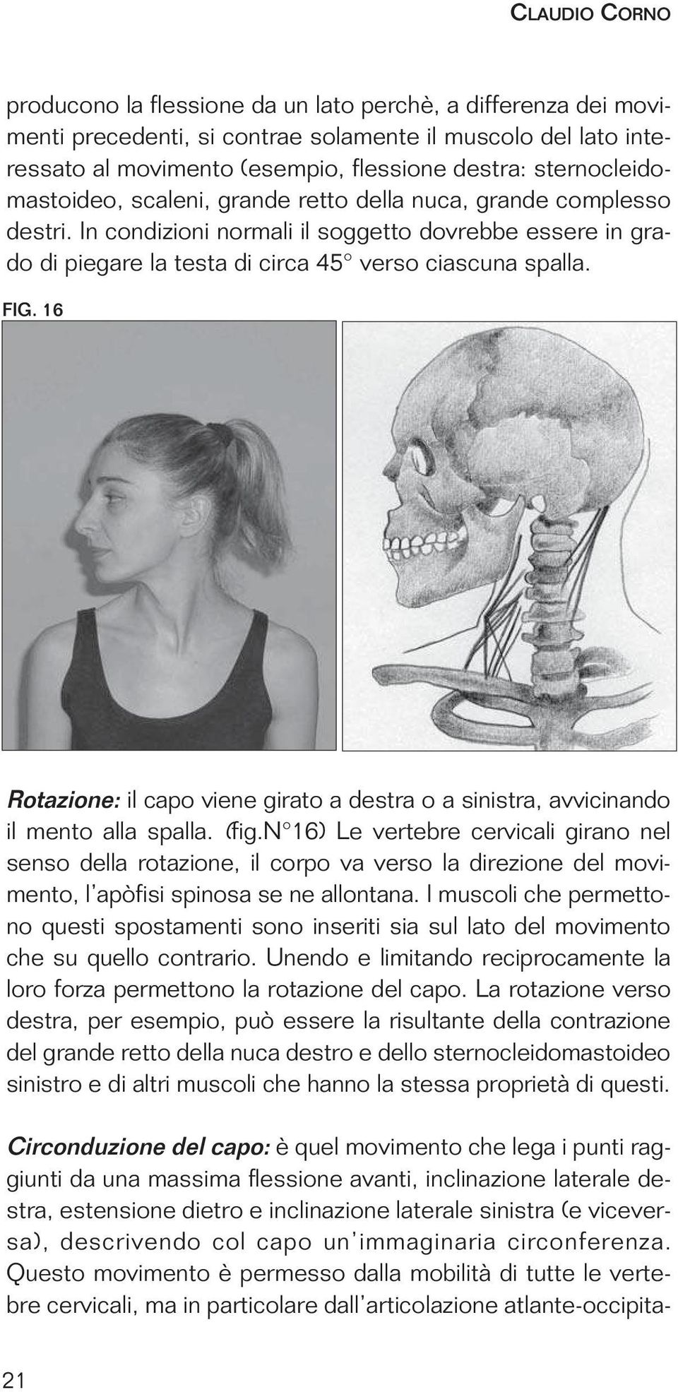 16 Rotazione: il capo viene girato a destra o a sinistra, avvicinando il mento alla spalla. (fig.