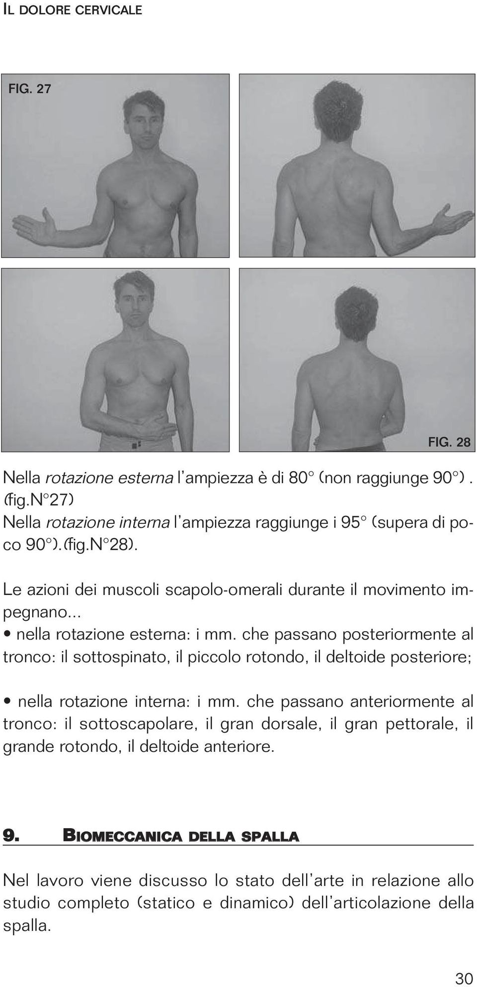 che passano posteriormente al tronco: il sottospinato, il piccolo rotondo, il deltoide posteriore; nella rotazione interna: i mm.