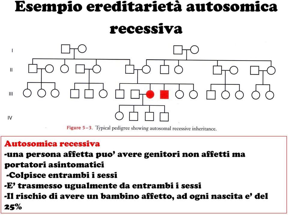 asintomatici -Colpisce entrambi i sessi -E trasmesso ugualmente da