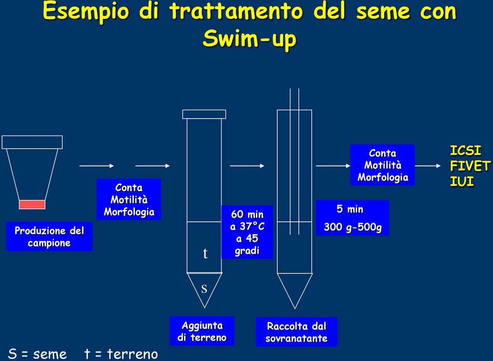 5 min 300 g-500g Conta Motilità Morfologia ICSI FIVET IUI s S