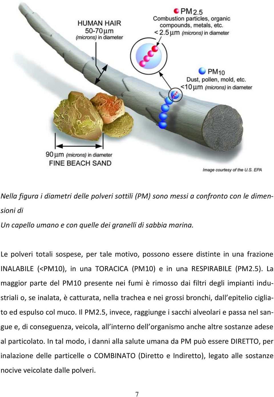 La maggior parte del PM10 presente nei fumi è rimosso dai filtri degli impianti industriali o, se inalata, è catturata, nella trachea e nei grossi bronchi, dall epitelio cigliato ed espulso col muco.