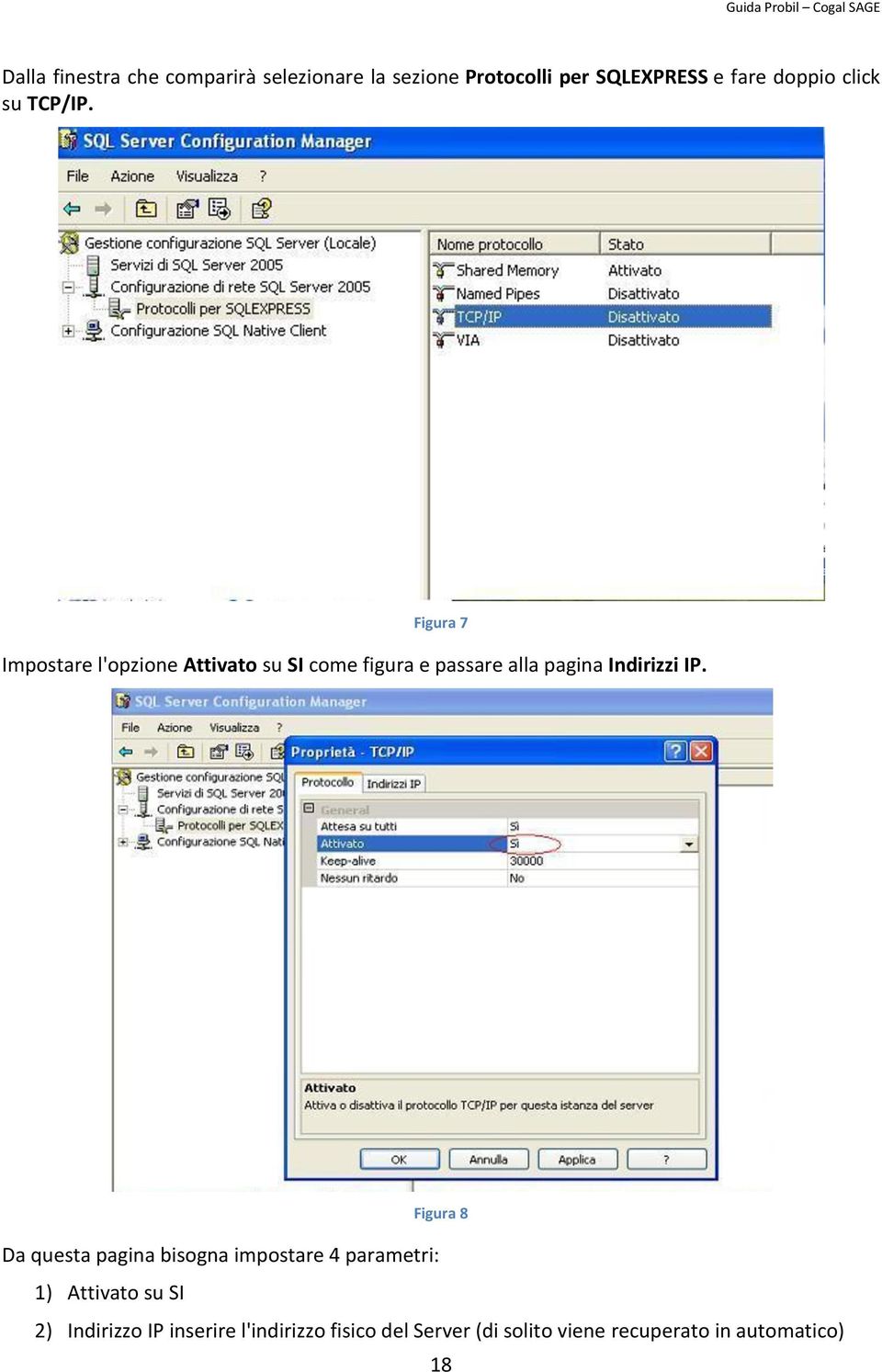 Figura 7 Impostare l'opzione Attivato su SI come figura e passare alla pagina Indirizzi IP.