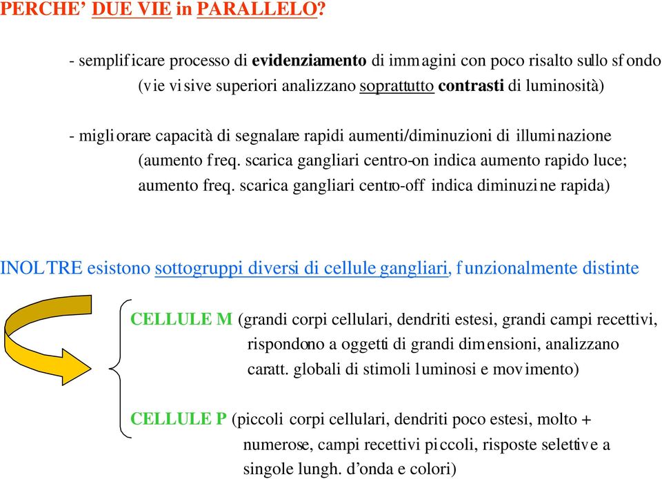 aumenti/diminuzioni di illuminazione (aumento freq. scarica gangliari centro-on indica aumento rapido luce; aumento freq.