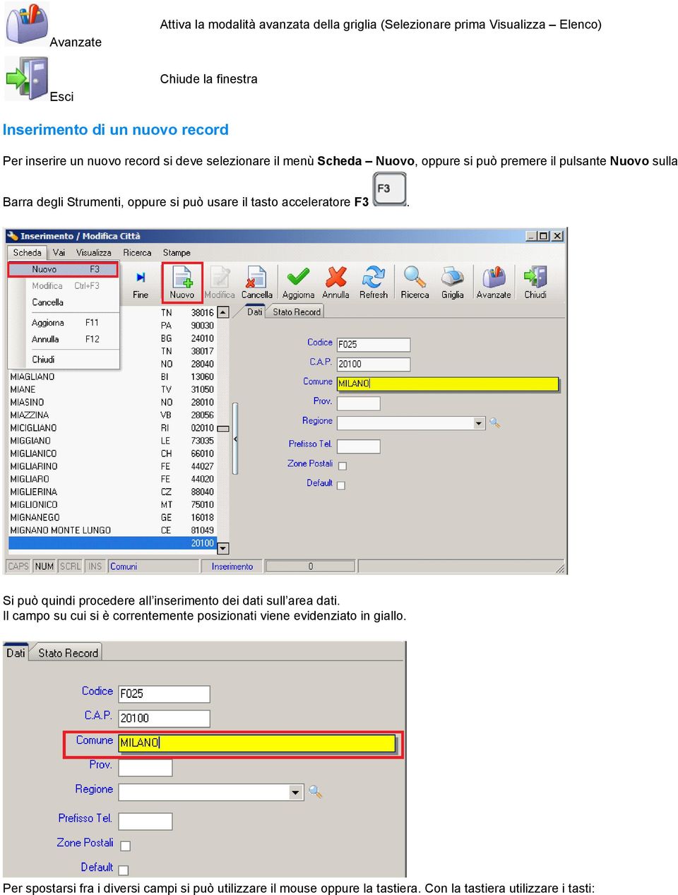 si può usare il tasto acceleratore F3. Si può quindi procedere all inserimento dei dati sull area dati.