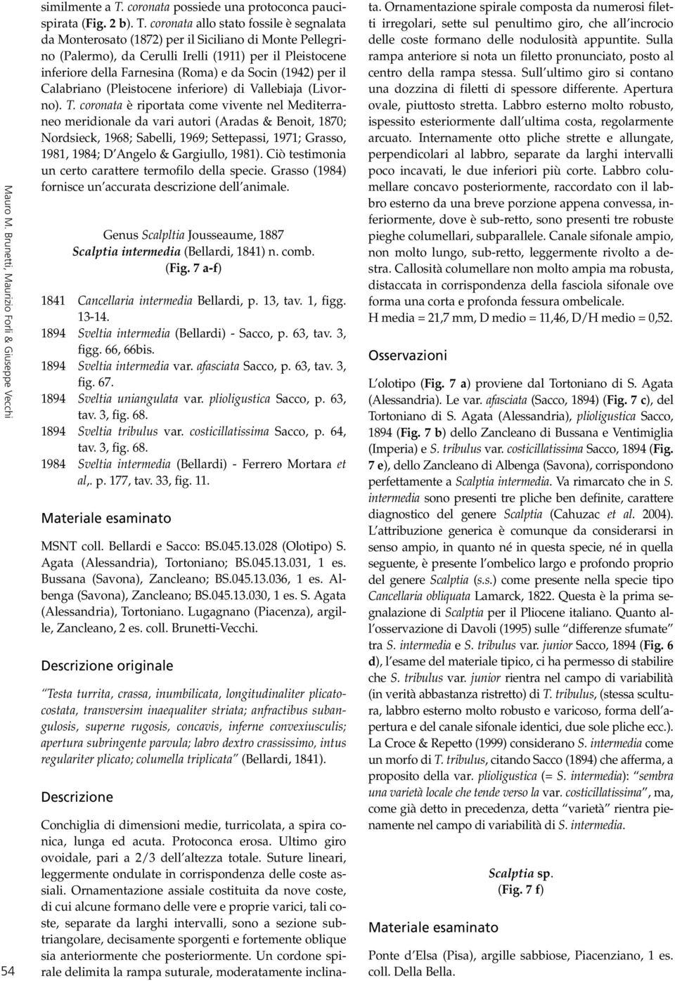 coronata allo stato fossile è segnalata da Monterosato (1872) per il Siciliano di Monte Pellegrino (Palermo), da Cerulli Irelli (1911) per il Pleistocene inferiore della Farnesina (Roma) e da Socin