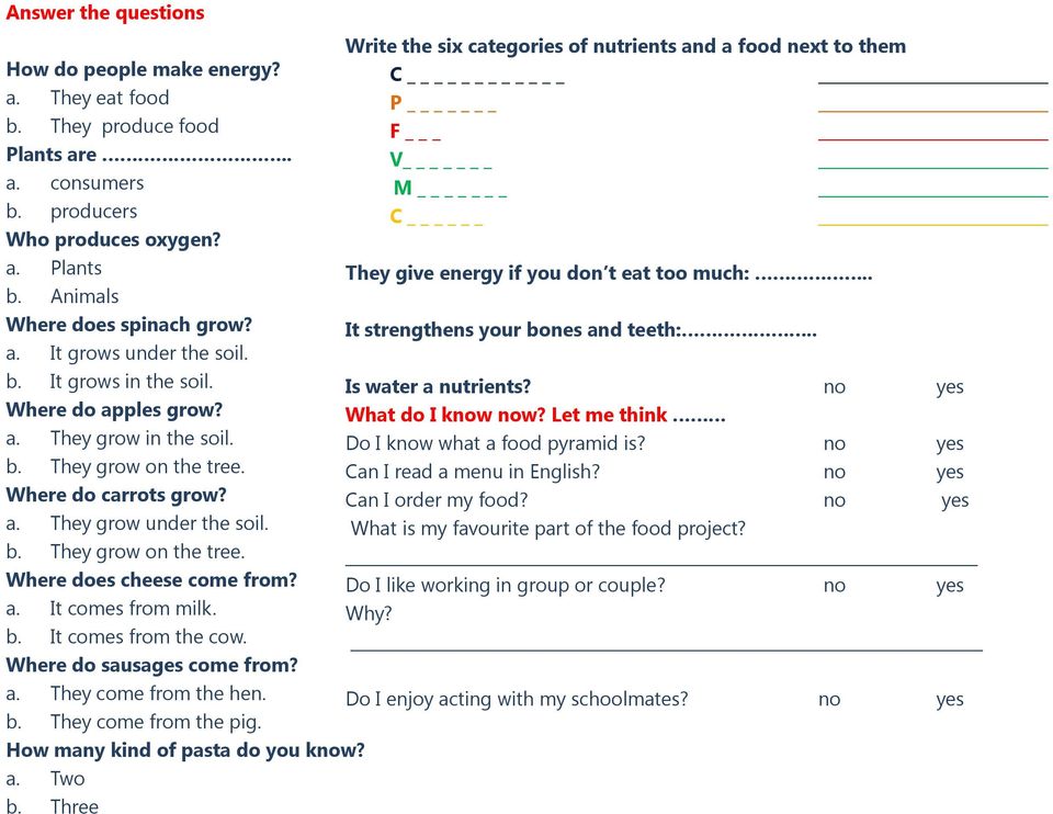 a. It comes from milk. b. It comes from the cow. Where do sausages come from? a. They come from the hen. b. They come from the pig. How many kind of pasta do you know? a. Two b.