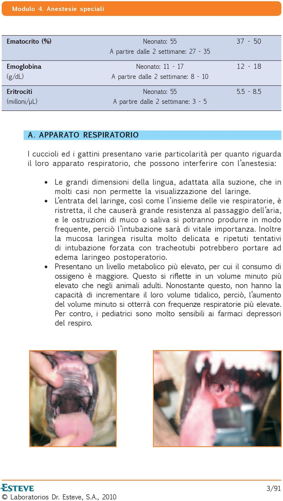 APPARATO RESPIRATORIO I cuccioli ed i gattini presentano varie particolarità per quanto riguarda il loro apparato respiratorio, che possono interferire con l anestesia: Le grandi dimensioni della