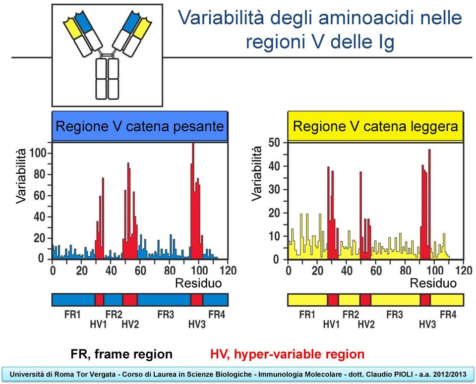 Regione V catena pesante Regione V catena leggera