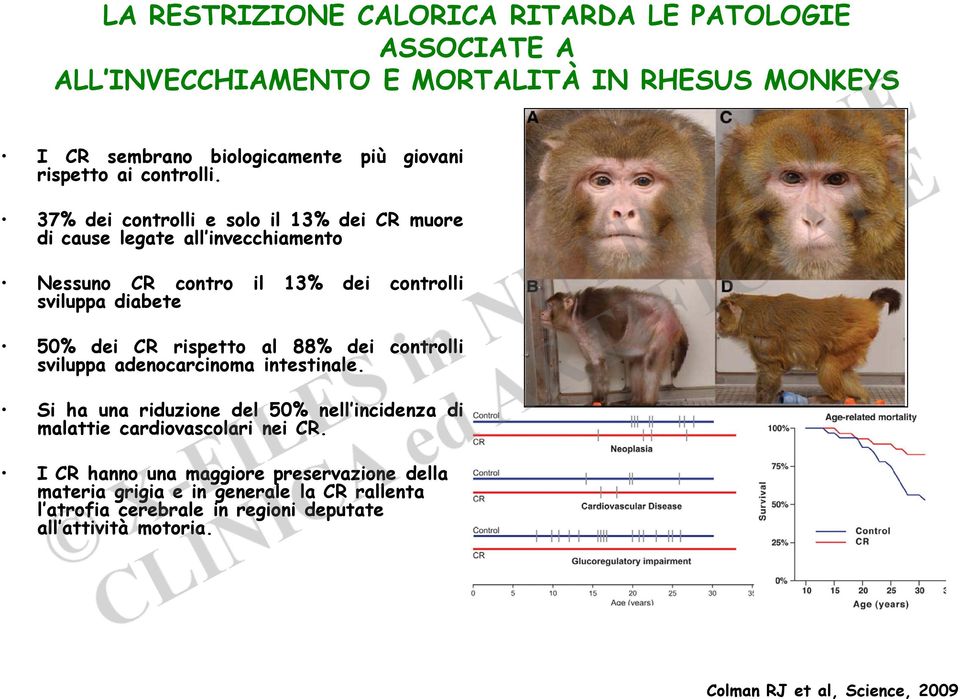 37% dei controlli e solo il 13% dei CR muore di cause legate all invecchiamento Nessuno CR contro il 13% dei controlli sviluppa diabete 50% dei CR rispetto al