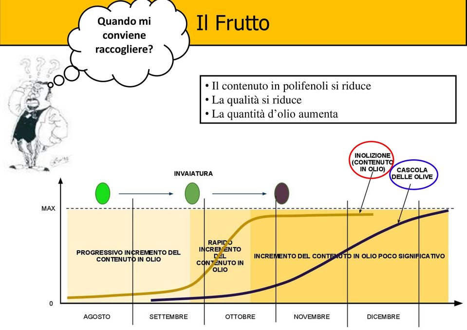 polifenoli si riduce La qualità