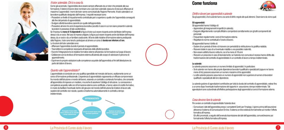 Il tutor aziendale è un lavoratore qualificato designato dall impresa.