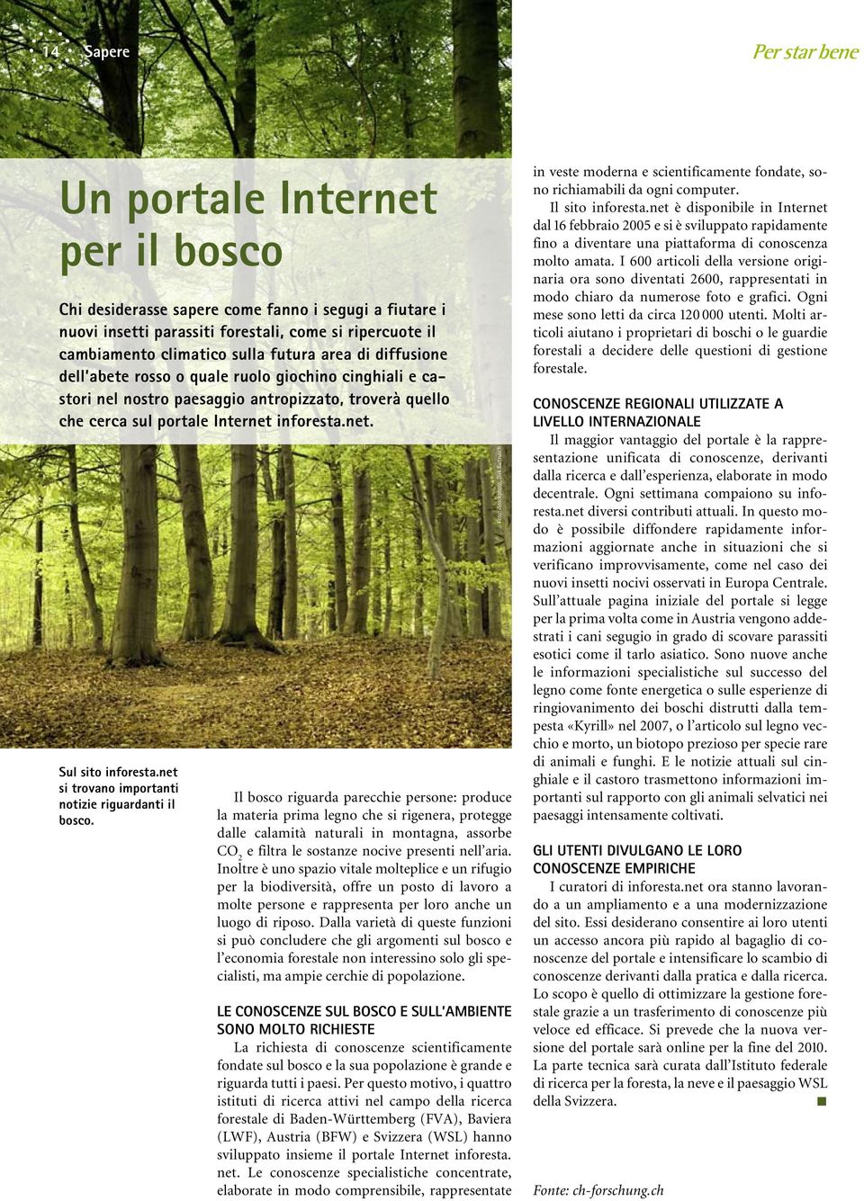 net si trovano importanti notizie riguardanti il bosco.