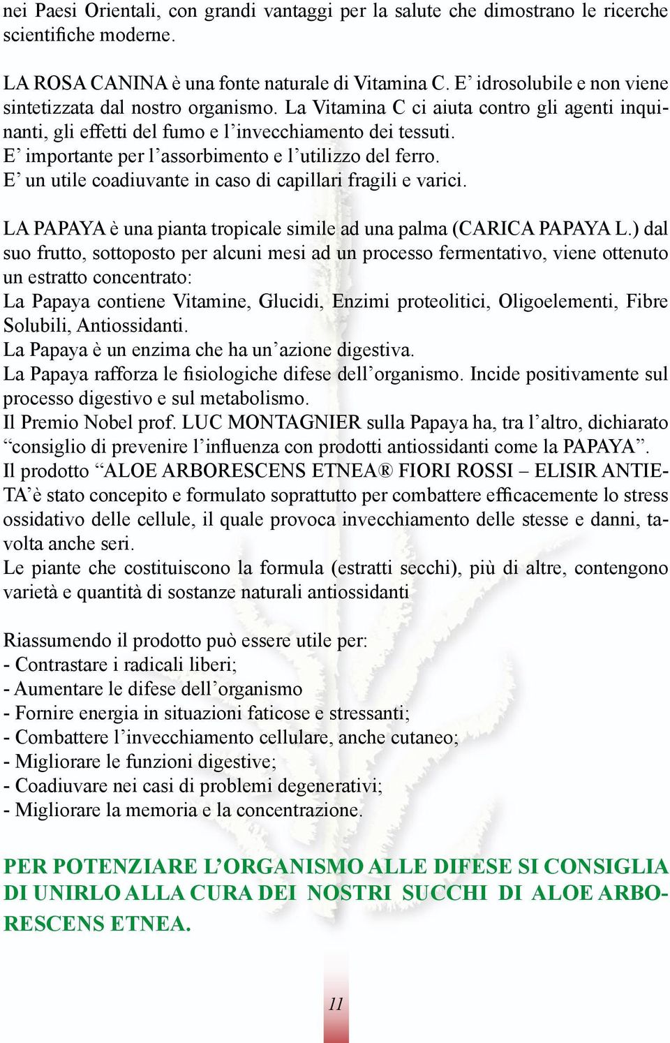 E importante per l assorbimento e l utilizzo del ferro. E un utile coadiuvante in caso di capillari fragili e varici. LA PAPAYA è una pianta tropicale simile ad una palma (CARICA PAPAYA L.