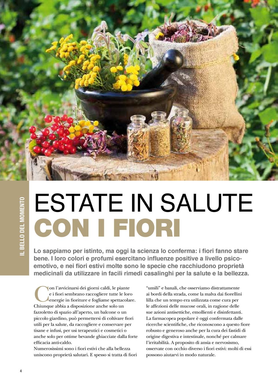 per la salute e la bellezza. Con l avvicinarsi dei giorni caldi, le piante e i fiori sembrano raccogliere tutte le loro energie in fioriture e fogliame spettacolare.