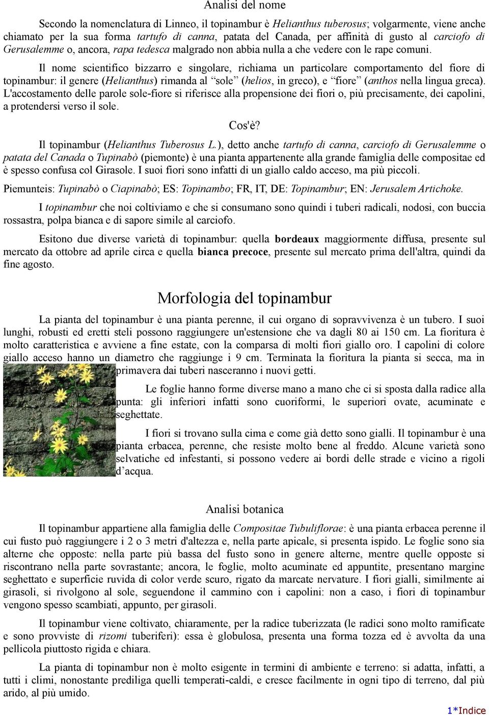 Il nome scientifico bizzarro e singolare, richiama un particolare comportamento del fiore di topinambur: il genere (Helianthus) rimanda al sole (helios, in greco), e fiore (anthos nella lingua greca).