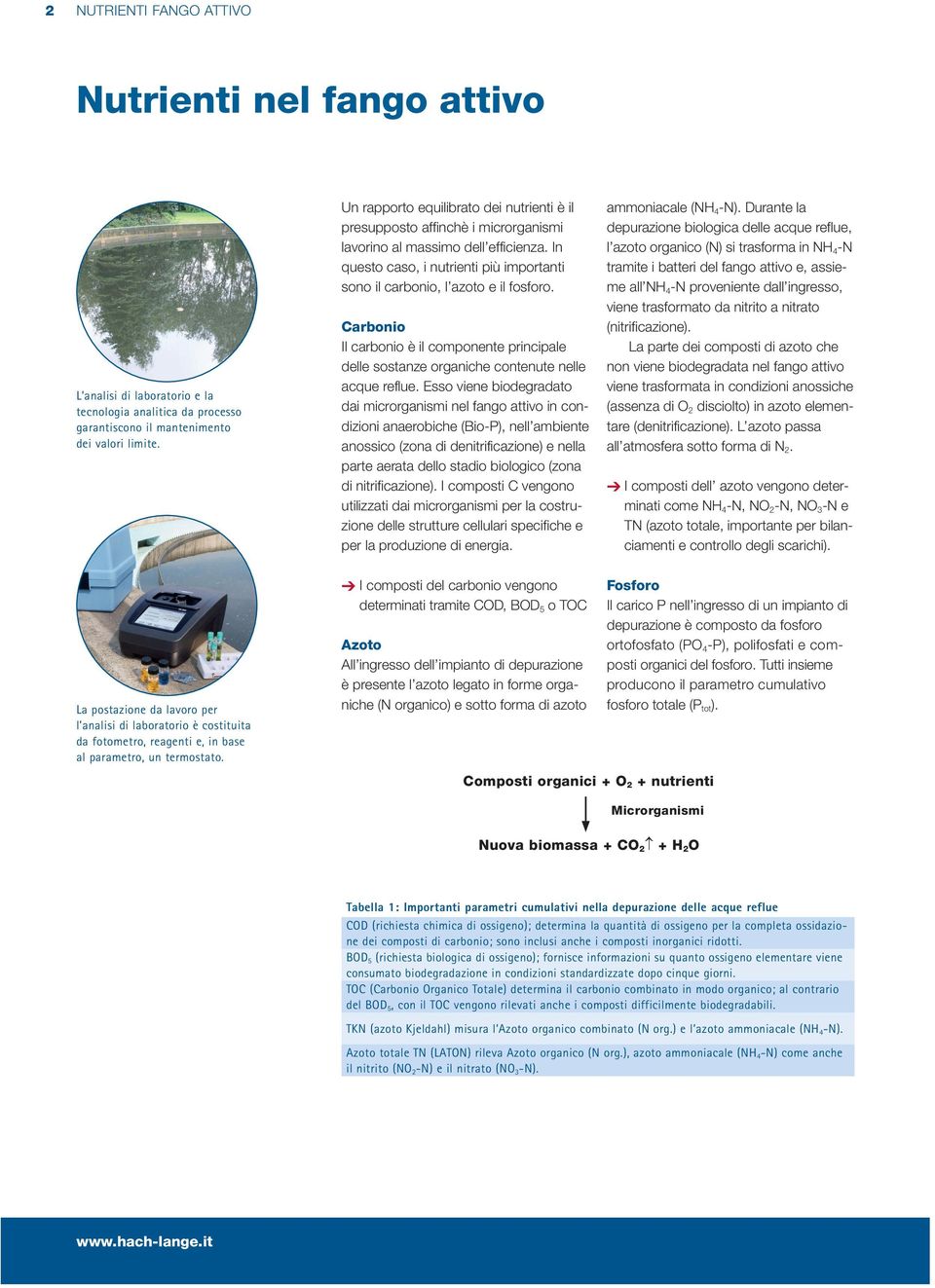 Carbonio Il carbonio è il componente principale delle sostanze organiche contenute nelle acque reflue.