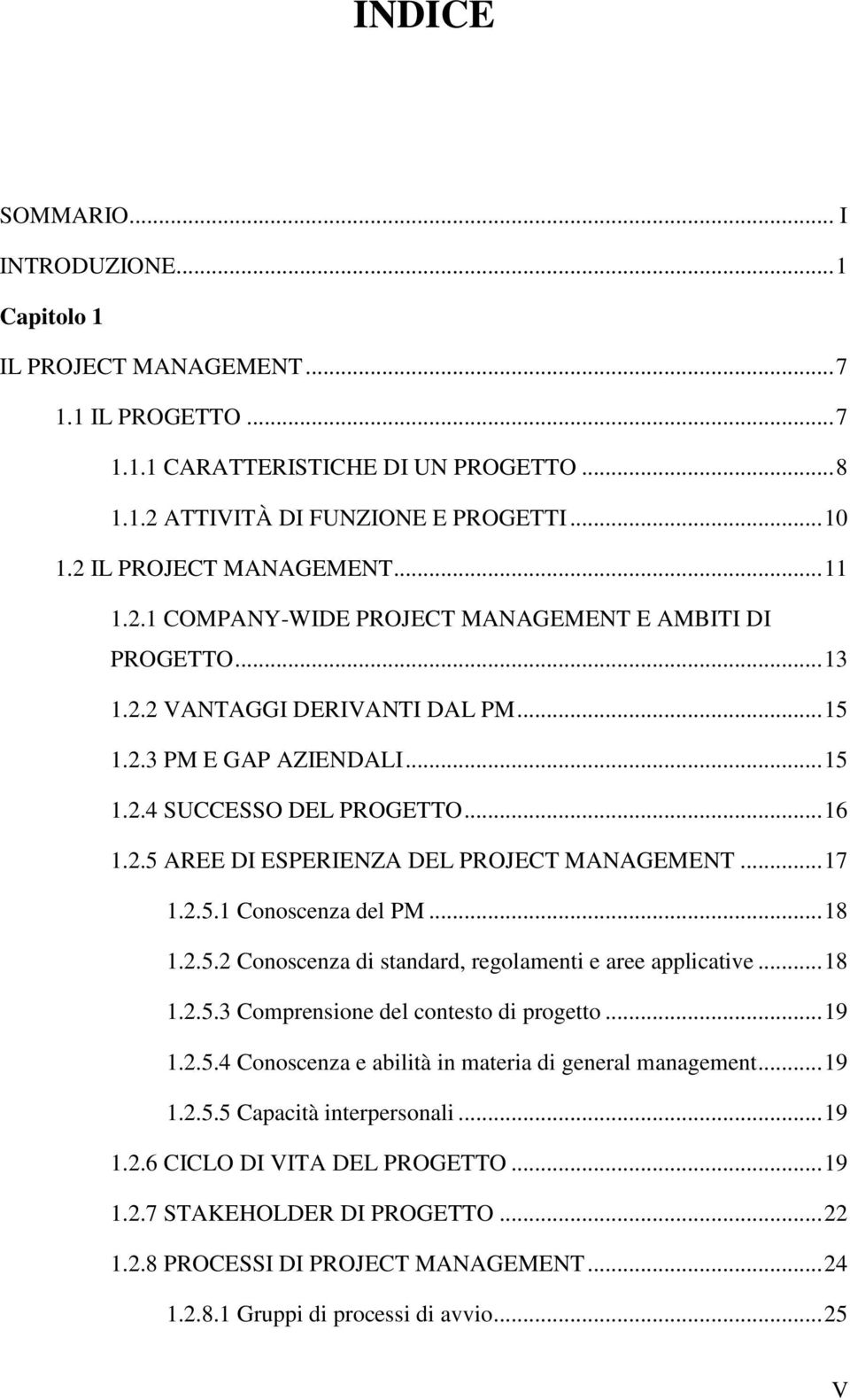 2.5 AREE DI ESPERIENZA DEL PROJECT MANAGEMENT... 17 1.2.5.1 Conoscenza del PM... 18 1.2.5.2 Conoscenza di standard, regolamenti e aree applicative... 18 1.2.5.3 Comprensione del contesto di progetto.