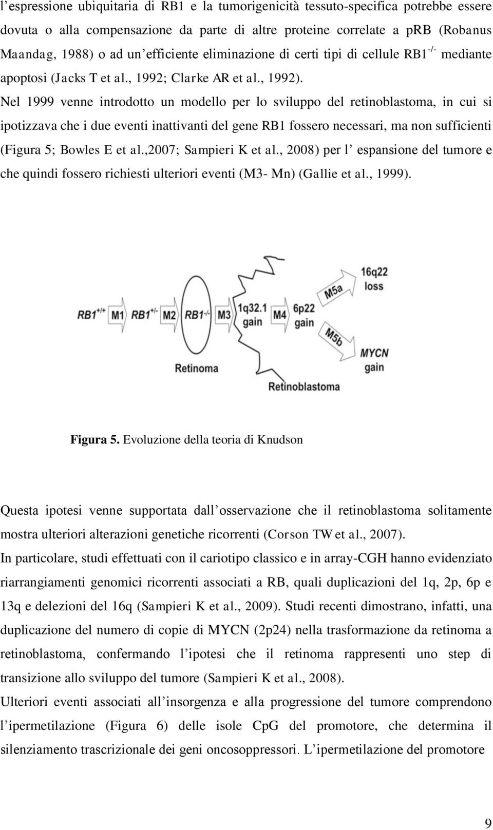 Nel 1999 venne introdotto un modello per lo sviluppo del retinoblastoma, in cui si ipotizzava che i due eventi inattivanti del gene RB1 fossero necessari, ma non sufficienti (Figura 5; Bowles E et al.