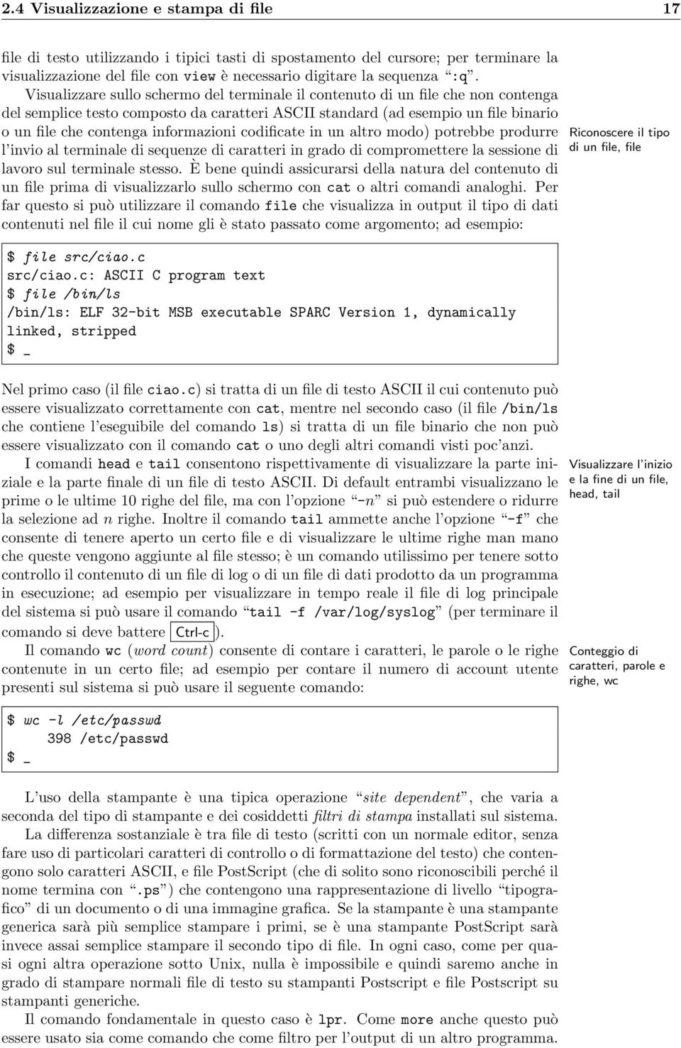 informazioni codificate in un altro modo) potrebbe produrre Riconoscere il tipo l invio al terminale di sequenze di caratteri in grado di compromettere la sessione di di un file, file lavoro sul