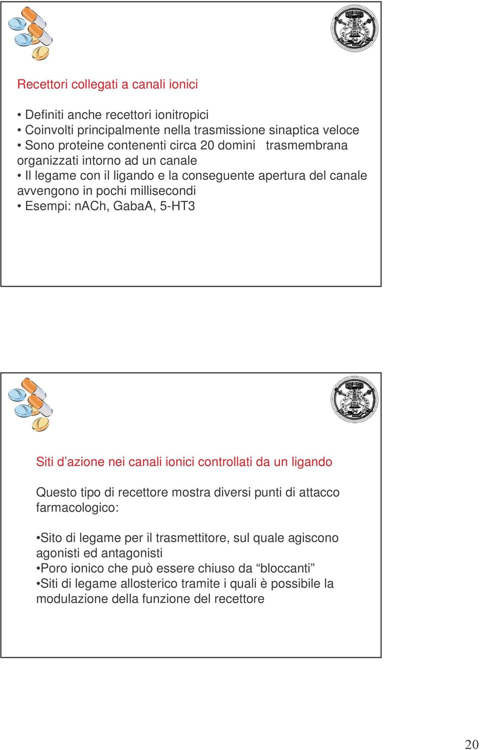 azione nei canali ionici controllati da un ligando Questo tipo di recettore mostra diversi punti di attacco farmacologico: Sito di legame per il trasmettitore, sul quale