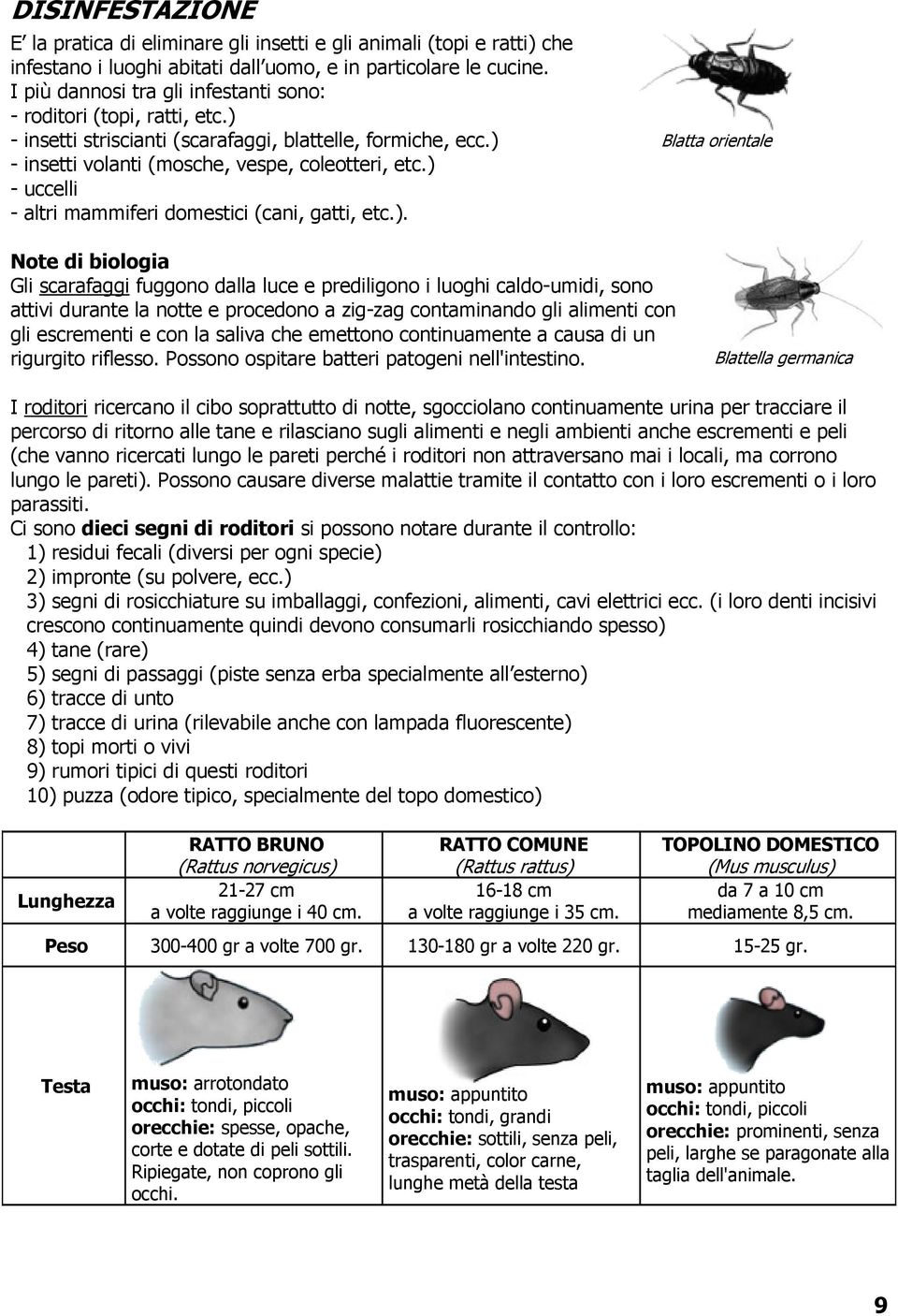 ) - uccelli - altri mammiferi domestici (cani, gatti, etc.). Blatta orientale Note di biologia Gli scarafaggi fuggono dalla luce e prediligono i luoghi caldo-umidi, sono attivi durante la notte e