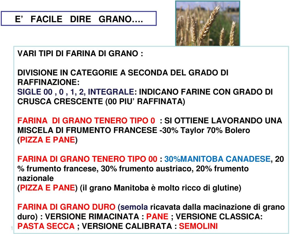 PIU RAFFINATA) FARINA DI GRANO TENERO TIPO 0 : SI OTTIENE LAVORANDO UNA MISCELA DI FRUMENTO FRANCESE -30% Taylor 70% Bolero (PIZZA E PANE) FARINA DI GRANO TENERO TIPO 00 :