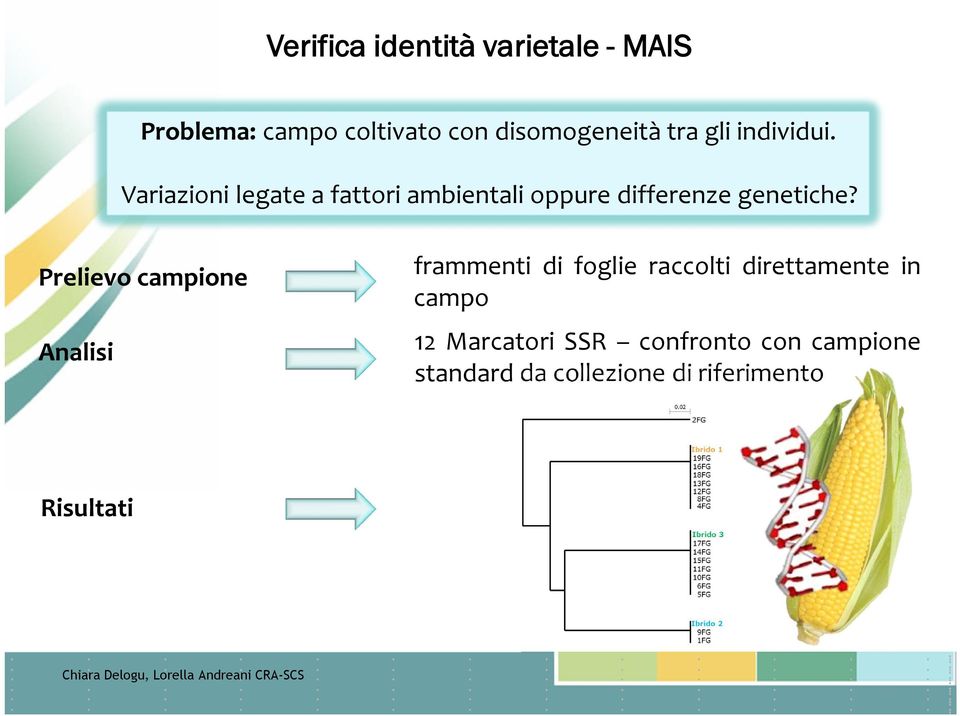 Prelievo campione Analisi frammenti di foglie raccolti direttamente in campo 12