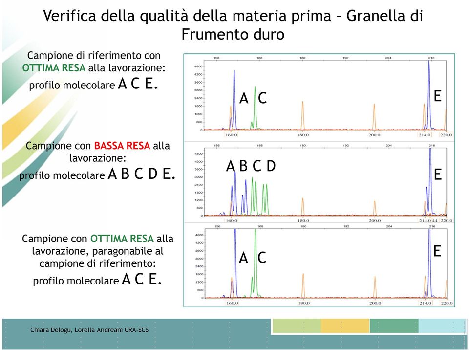 A C E Campione con BASSA RESA alla lavorazione: profilo molecolare A B C D E.