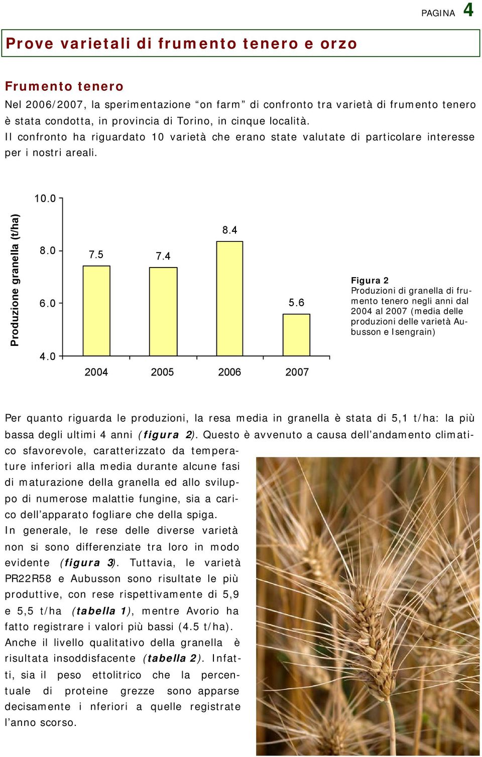 6 Figura 2 Produzioni di granella di frumento tenero negli anni dal 2004 al 2007 (media delle produzioni delle varietà Aubusson e Isengrain) 4.