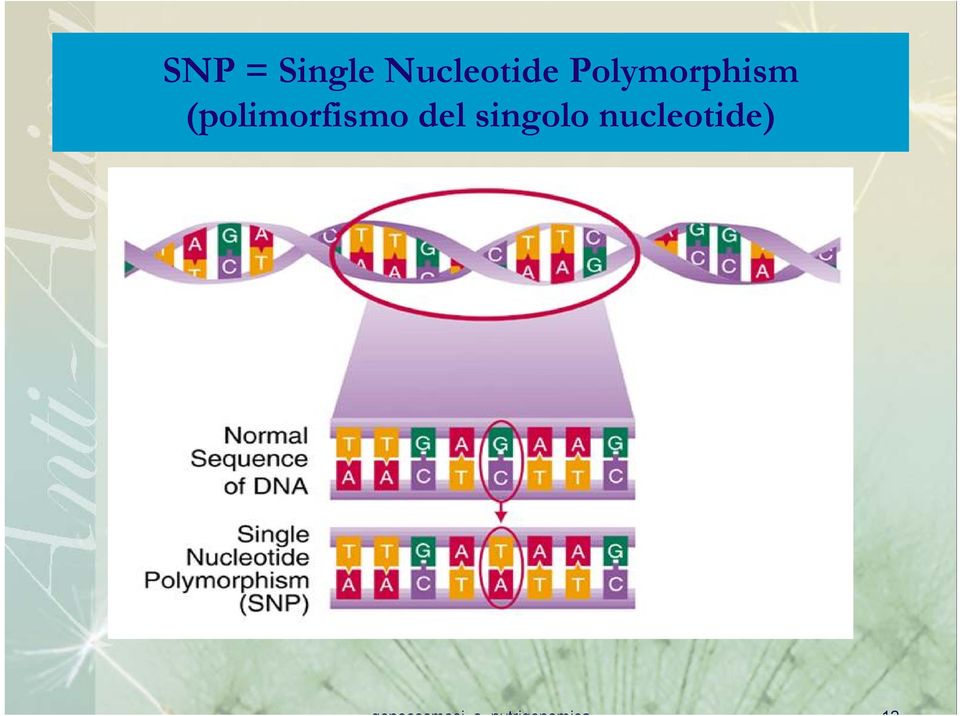 del singolo nucleotide)