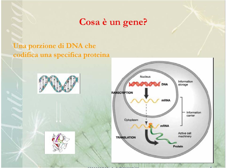 codifica una specifica