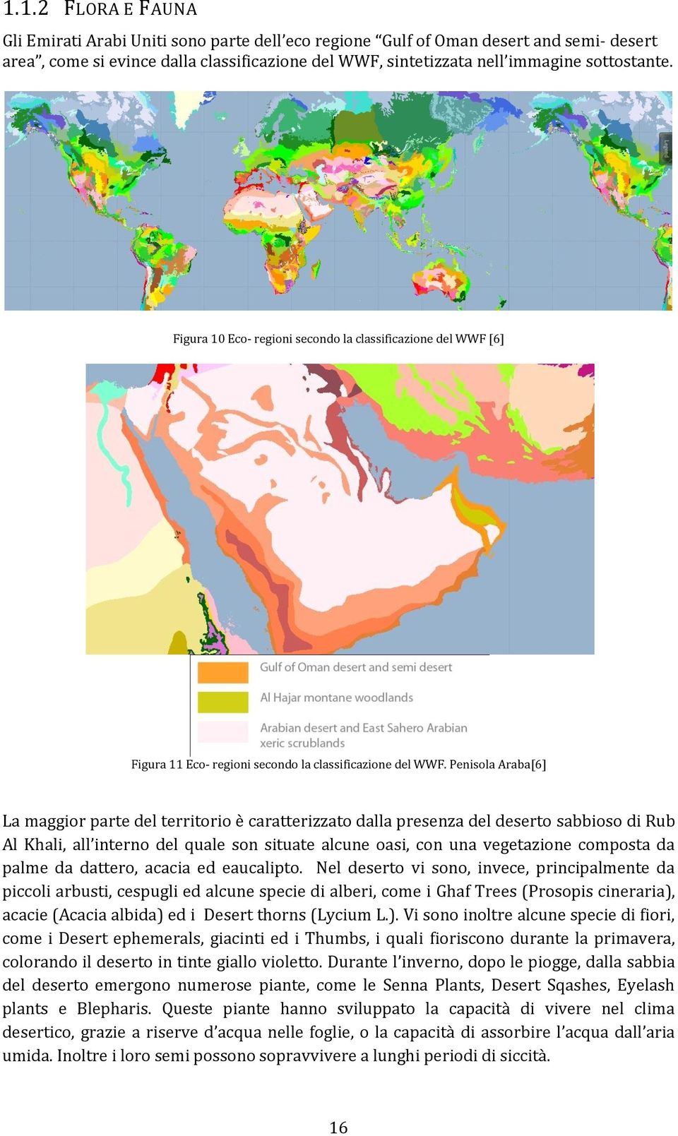 Penisola Araba[6] La maggior parte del territorio è caratterizzato dalla presenza del deserto sabbioso di Rub Al Khali, all interno del quale son situate alcune oasi, con una vegetazione composta da